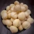 Import Premium Macadamia Nuts Wholesale Bulk Natural Raw Macadamia Nuts Fresh Packed For Direct Supply And Bulk Buyers from Tanzania