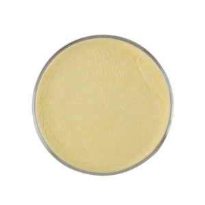 Enzyme-Resistant Starch for Food, Beverage, and Industrial Applications, Premium Enzyme-Resistant Starch Supplier, Bulk
