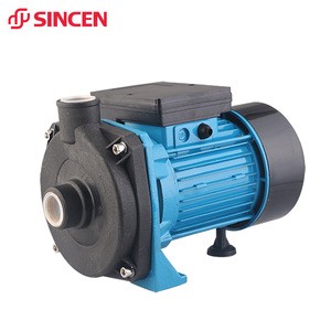 0.5hp 1inch Single-stage Electric Motor Pump,Water Supply Pump With PPO Impeller