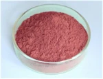 Grape Seed Extract