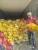 Import Fresh Export Quality Potatoes from Bangladesh | Wholesale Supplier & Exporter from Bangladesh