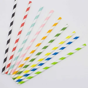 Rainbow Colorful Striped Paper Straws