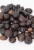 Import Kernel charcoal kernel hibiscus from Vietnam