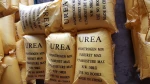 Urea Fertilizer