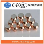 electrical contact rivet for the switch