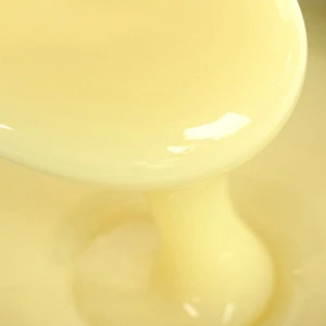 Condensed Milk