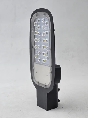 24 WATT OVAL STREET LIGHT