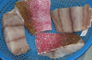 FROZEN RED SNAPPER PORTION CUT