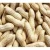 Import Raw Virginia Indian Peanut Kernel from India