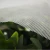 Import 40~60 mesh Insect proof net / Agricultural HDPE Greenhouse Anti Insect Net for vegetable gardens from USA