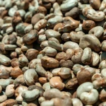 Raw Cashew Nuts