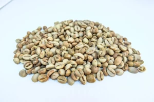 Robusta green coffee beans