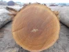 Hot Sale Wood logs Tali /Teak / doussie / Azobe logs