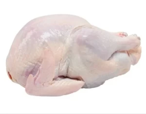 TOP QUALITY HALAL WHOLE FROZEN CHICKEN