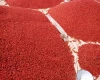 Red chilli