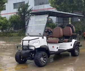 4+2 Double-Row 6-Seater Golf Cart Model A