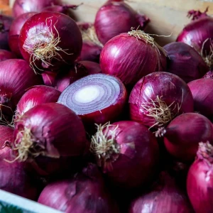 Premium Export Quality Fresh Onion With High Dry Matter Content Uniform Bulb Size And 98% Natural