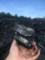 High Quality Coal Available in Large Quantity, Lowest Price