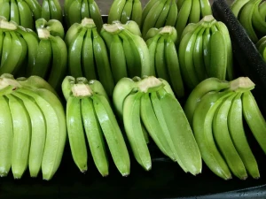 Fresh Quality Cavandish Banana For Buyers