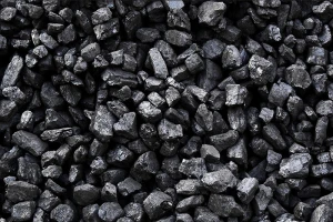 Petroleum Coke