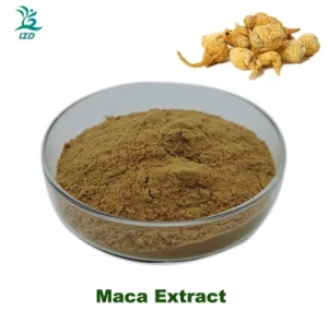 Maca Extract