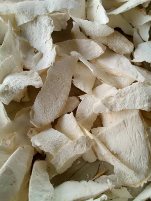 Premium Quality White Dried Cassava Chips