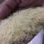 Import 10% 5% 25% Broken Long Grain white rice Stock Available  now product of Thailand Cooking rice best Quality from Thailand