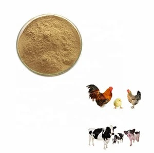 100 % Pure Natural Oregano Powder for Feed Additives