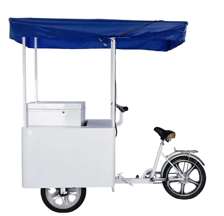 108L DC 12v solar powered ice cream cart with freezer fridge refrigerator tricycle bike