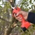 Import 16.8v professional power garden hand tool electric pruning shear pruner from China