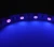 Import 2016 UV lighting strip led,UV led strip, purple led strip from China