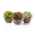 Import 2019 Wholesale Mini Artificial Potted Succulent Plants Bonsai For Architectural Ornament from China