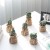 Import 2020 Amazon Hot Selling Pinrui Nordic cactus Artificial Succulent Plants from China