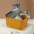 Import 2021 New Design Cat animal sculpture cute pet storage ornaments craft boxes from China