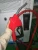Import 220V diesel fuel dispensers dispenser fuel oil pump made in China from China
