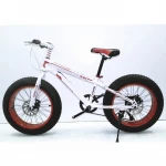 24 Inch Adult Cycles Mountain Bike