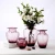 Import 26cm Different Size Department Stores Modern Flower Vase Glass For Home Decor Flower from China