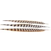 50-55 Gold Seller Best Selling Cheap Large Natural Reeves Pheasant Tail Feathers