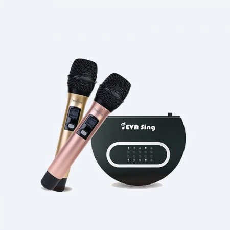 5G Wifi karaoke machine Wireless Streaming media player with two microphone