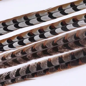 70-80cm Natural Reeves Pheasant Feathers plumas de faisan