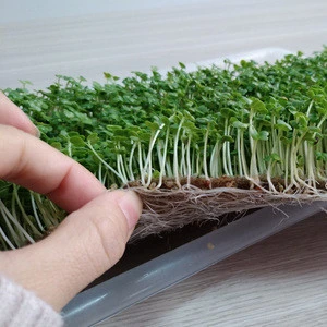 750gsm hemp grow mat for microgreen green leaf plant