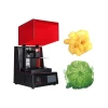 8.9 inch 4k mono screen LCD 3D printer large printing size 192 120 120 High precision jewelry casting dental model anime