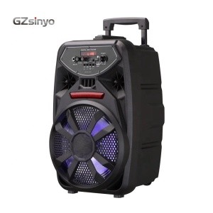 8inch  subwoofer professional audio  portable pa amplifier speaker with wired Microphone /8inch karaoke light speaker