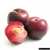 Import Adorable Fresh Plum Fruits from South Africa from Austria
