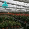 Agricultural multi span plastic film and polycarbonate greenhouse for sale
