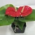 Import artificial anthurium plant potting bonsai from China