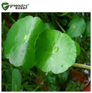Asiatic Pennywort herb extract