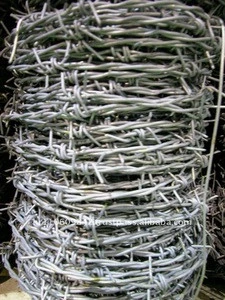 barbed wire (factory)