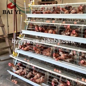 Battery Layer Chicken Cage For Poultry Farm With 96,120,128,160 Birds Capacity