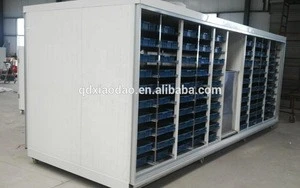 bean sprout growing machine,drying barley sprouting,barley sprout